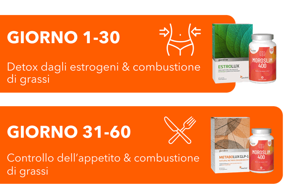 Fasi del programma
