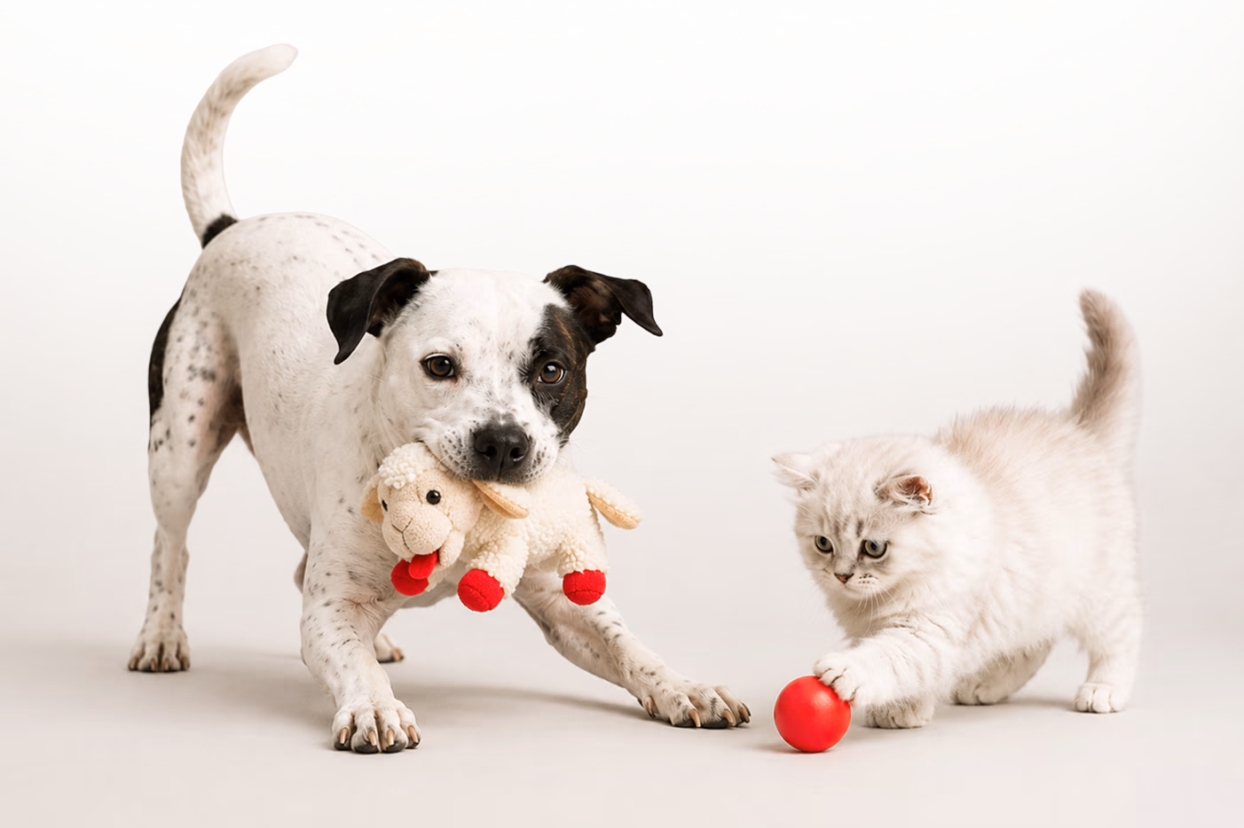 Perfect for playtime. Buy 2 toys & get 10% off.