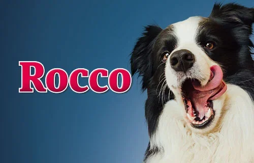 Rocco