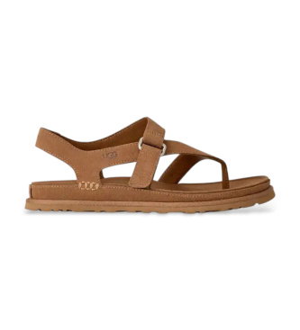 Sandalias de piel GoldenGaze Toe Post marrón