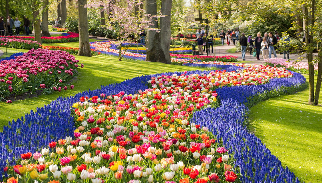 Tulips and Waterways TUI River Cruise