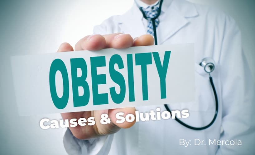 Mercola, obesity
