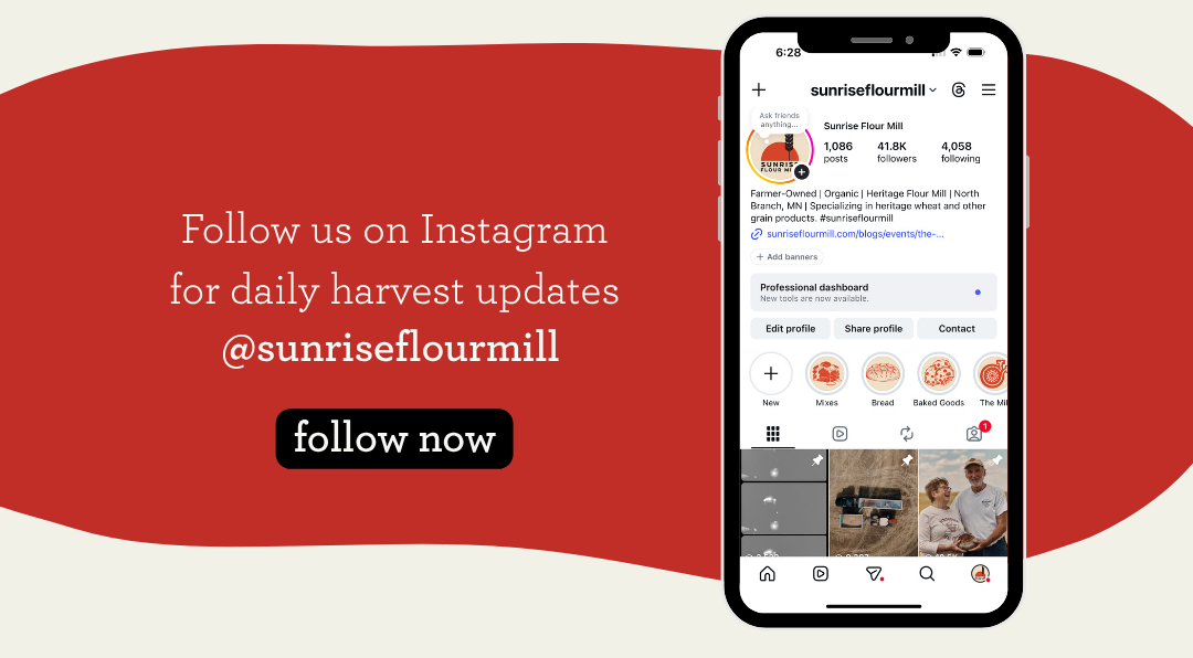 instagram plug