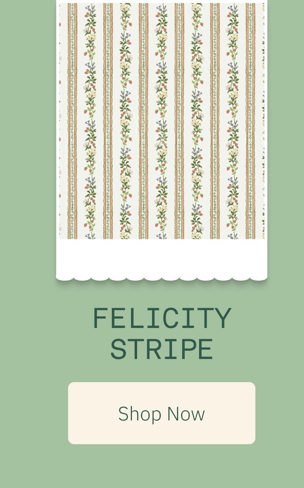 Felicity Stripe