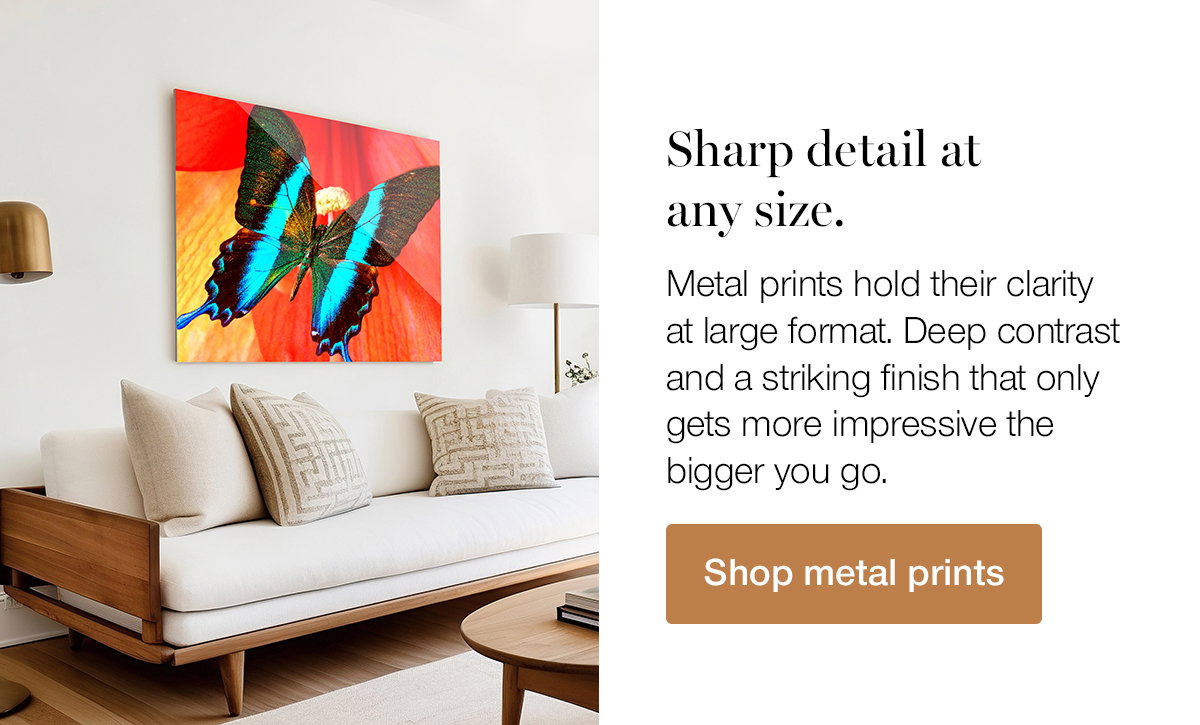 Sharp detail at any size. Metal prints hold their clarity at large format. Deep contrast and a striking finish that only gets more impressive the bigger you go. Shop Metal Prints.