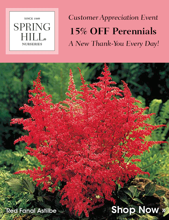 TODAY ONLY: 15% OFF Perennials