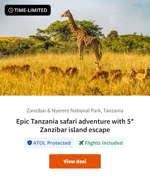 Epic Tanzania safari adventure with 5* Zanzibar island escape