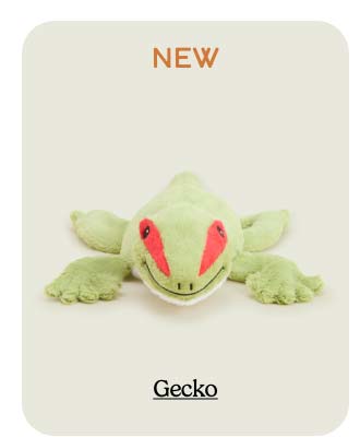 Shop Gecko