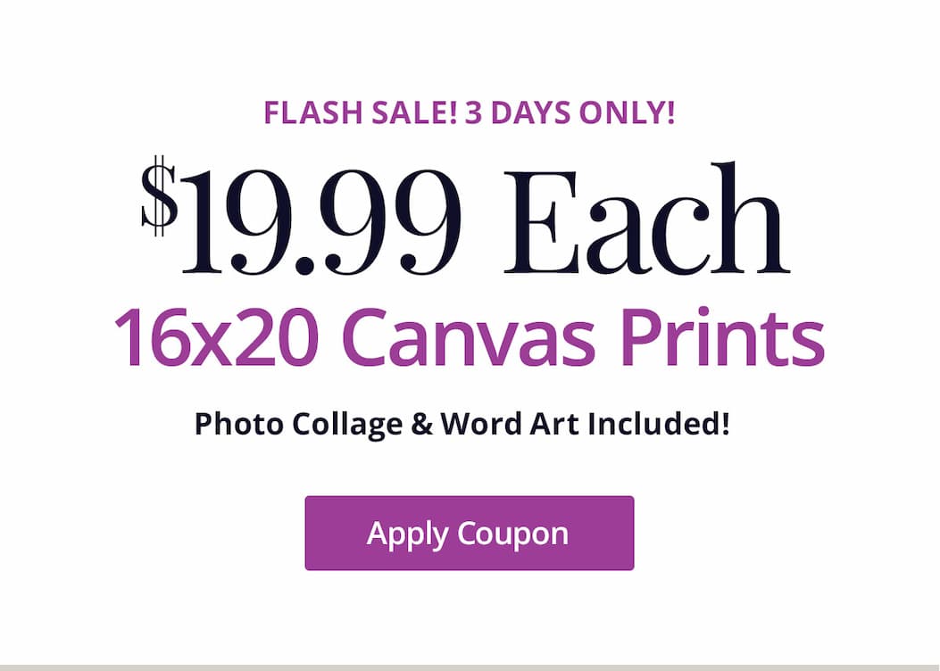 3 day flash sale! 16x20 Canvas Prints for $19.99 each! Photo Collage and Word Art included! Apply Coupon
