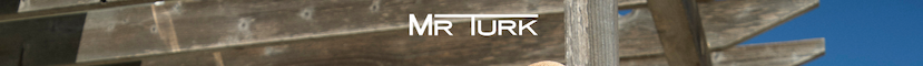 Mr Turk