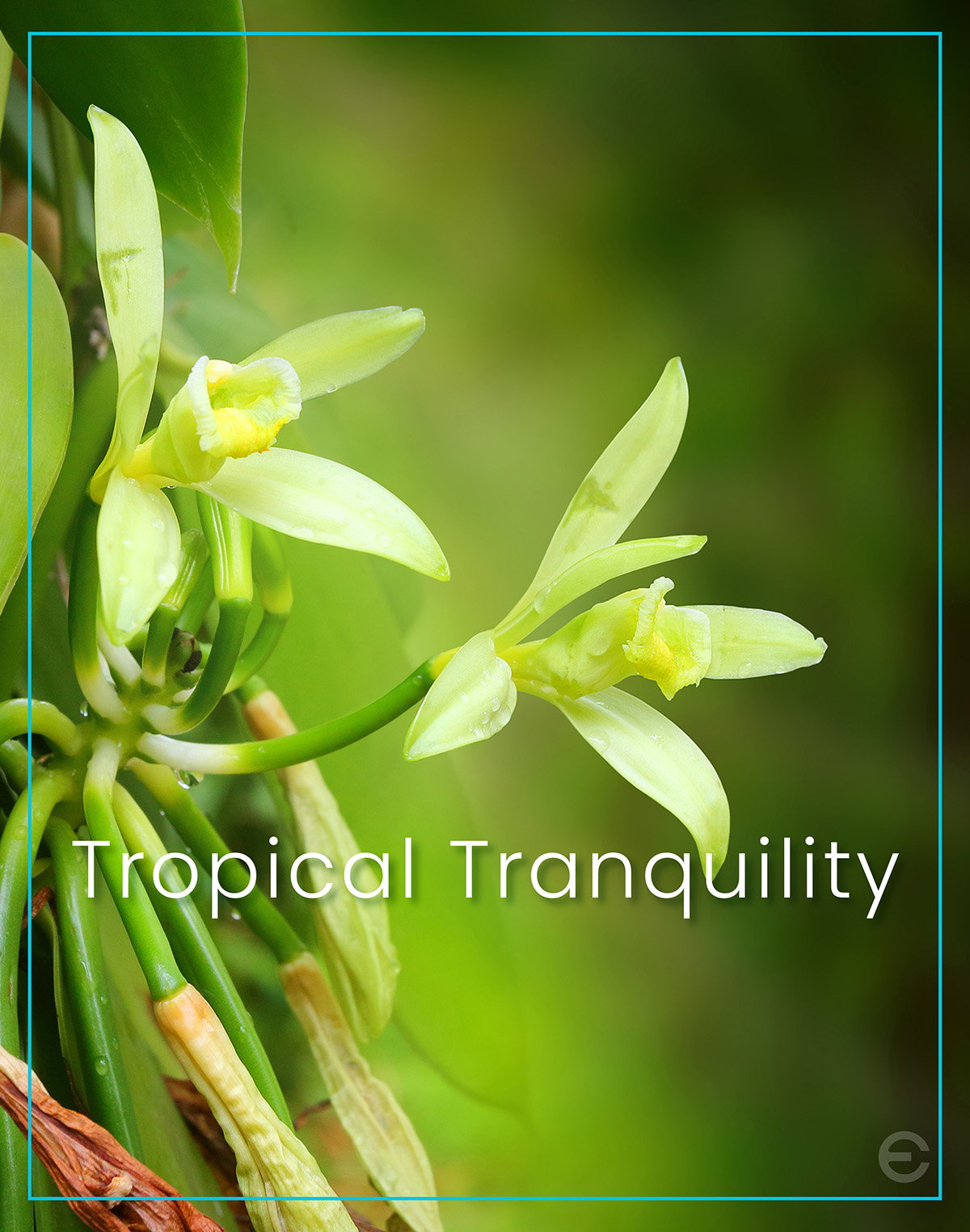 TAHITIAN VANILLA AFTER BATH