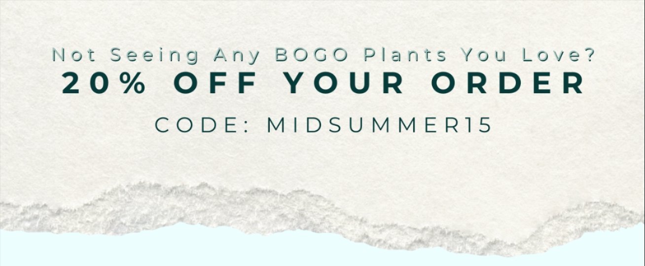 SAVE ON NEW ARRIVALS