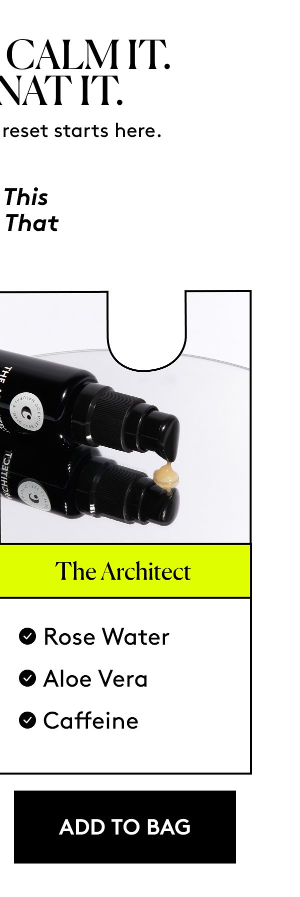 The Architect 