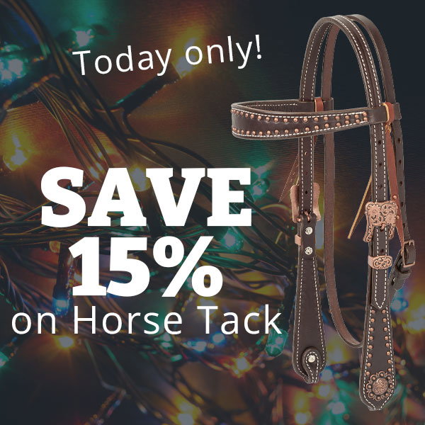 Save 15% on Horse Tack