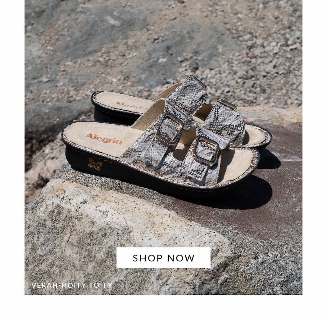 Pair of Alegria Verah Hoity Toity snakeskin-patterned slide sandals with double buckles resting on a rock with a Shop Now button.
