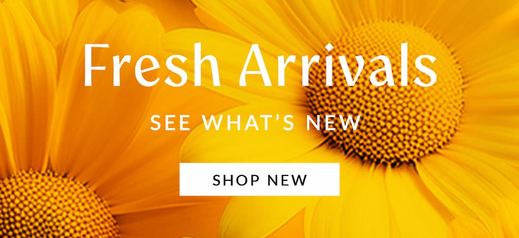 Close-up of bright yellow daisies with text reading Fresh Arrivals See What's New and a Shop New button.