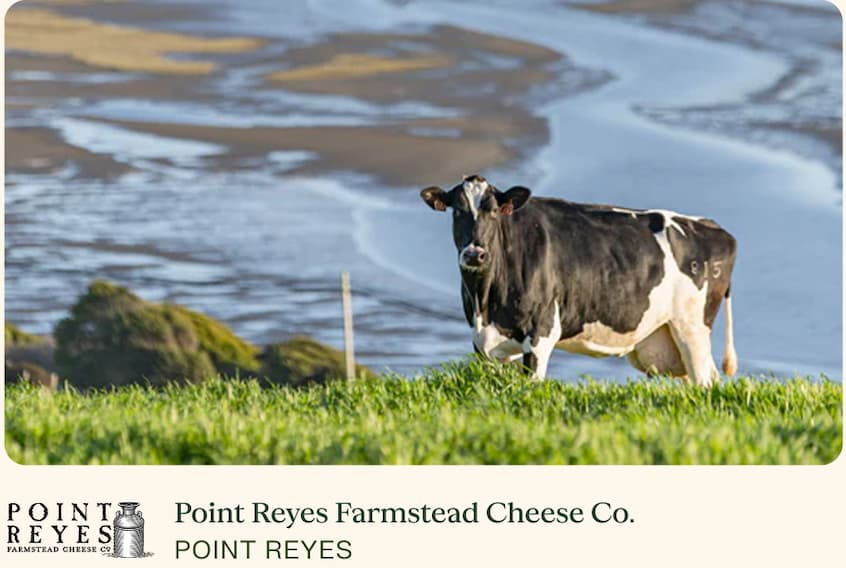 Point Reyes Farmstead Cheese Co., Point Reyes