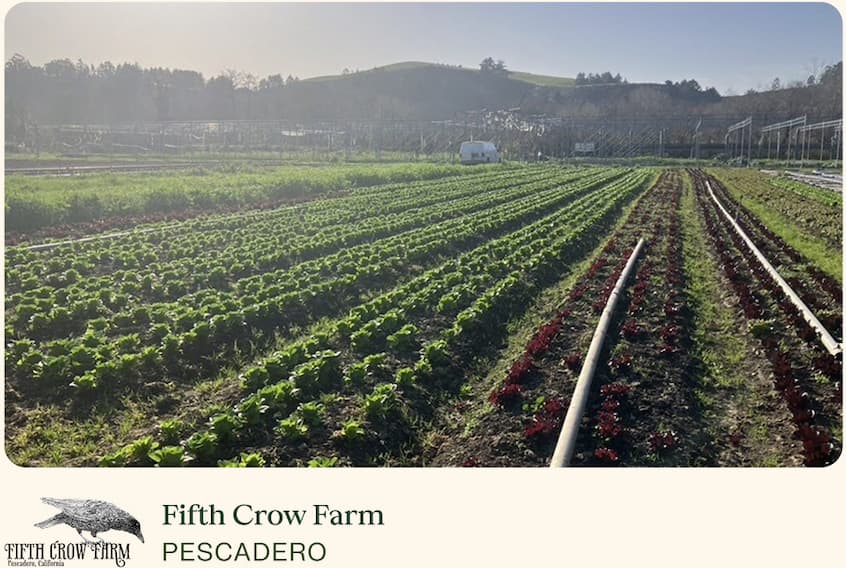 Fifth Crow Farm, Pescadero