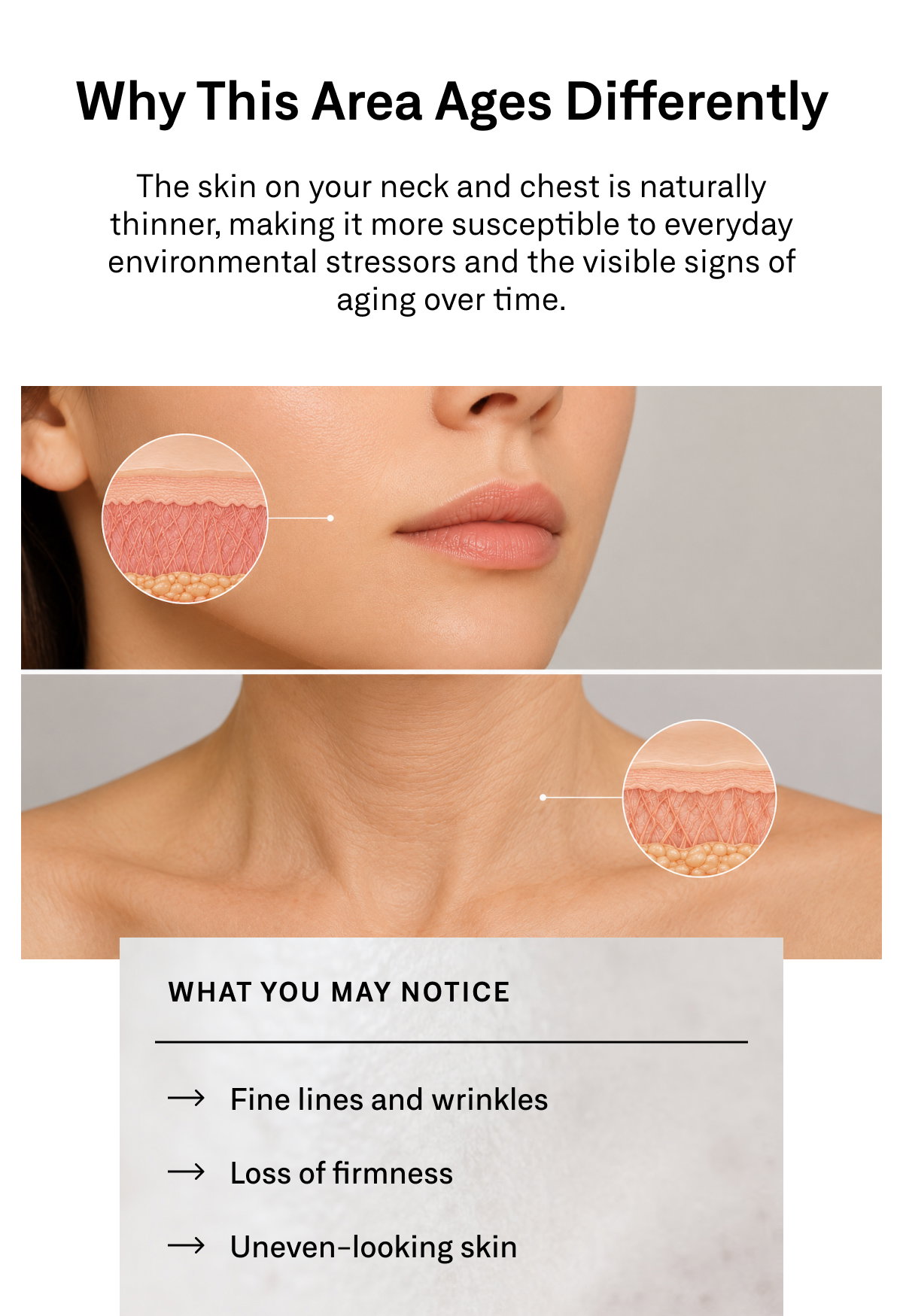 Contour Neck & Décolleté supports collagen and elastin production to improve the appearance of wrinkles and support firmer-looking skin.