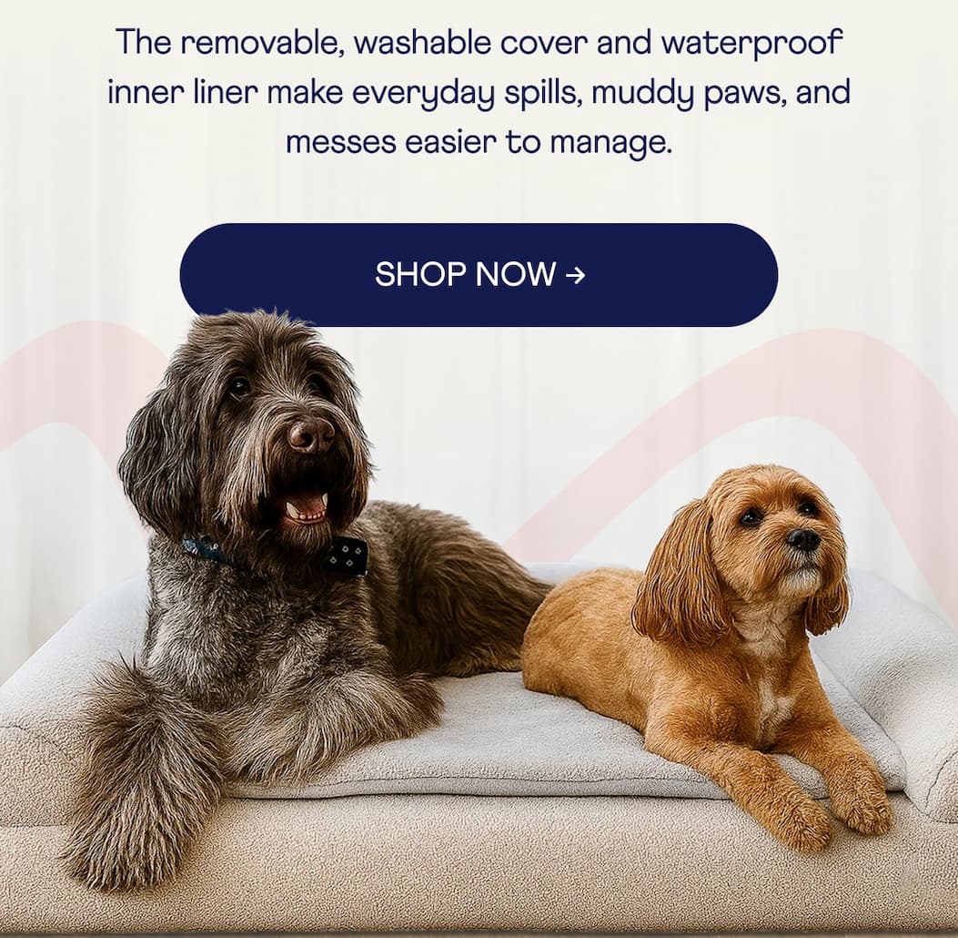 The removable, washable cover and waterproof inner liner make everyday spills, muddy paws, and messes easier to manage.  | SHOP NOW
