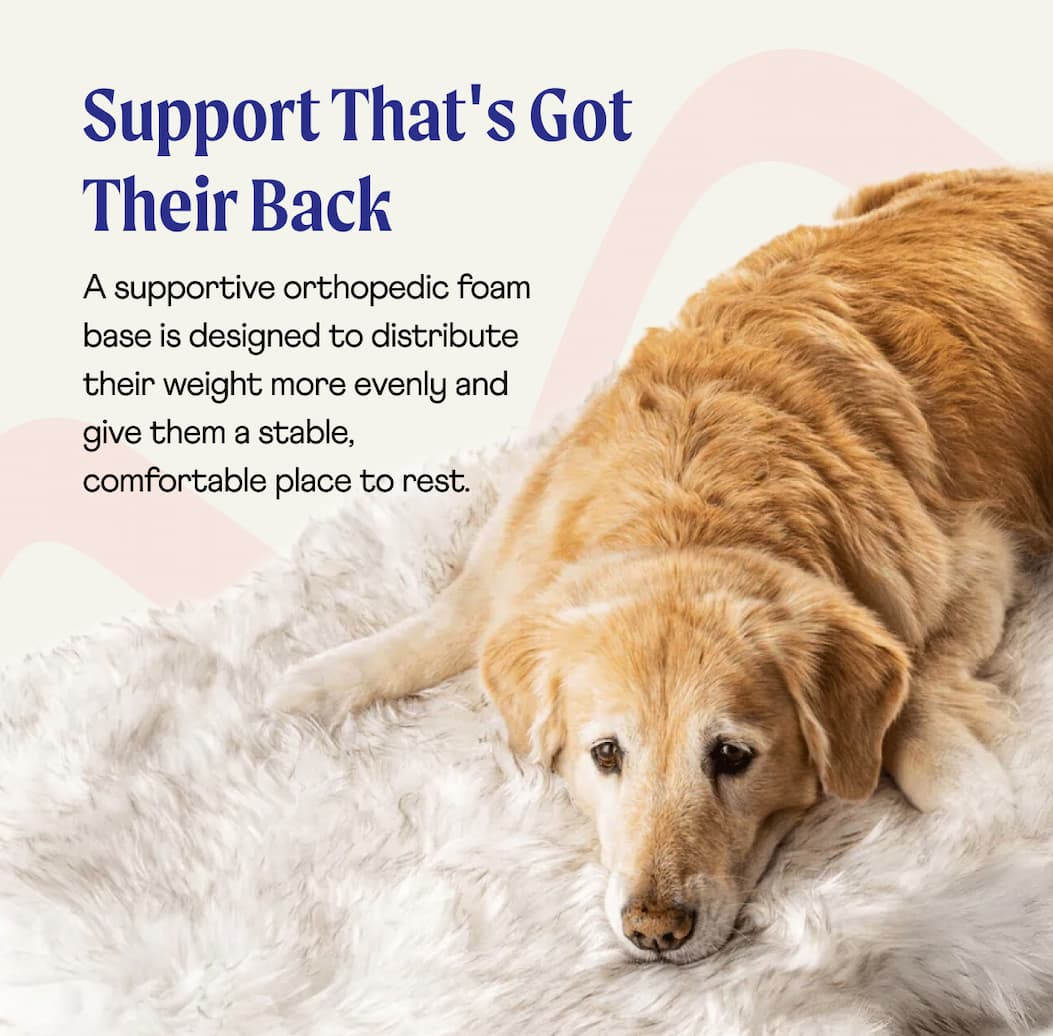 Support That's Got Their Back  | A supportive orthopedic foam base is designed to distribute their weight more evenly and give them a stable, comfortable place to rest.