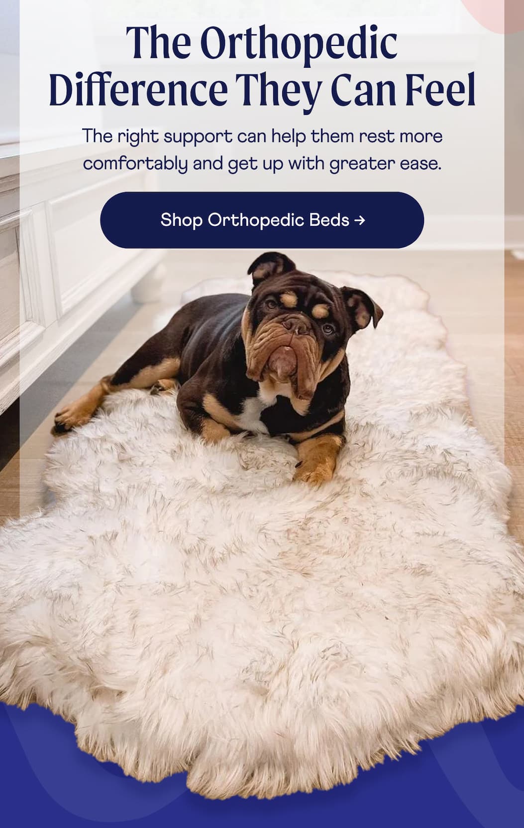 The Orthopedic Difference They Can Feel  | Shop Orthopedic Beds.