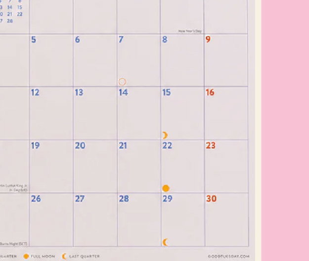 2027 WHIMSICAL FOLK WALL CALENDAR