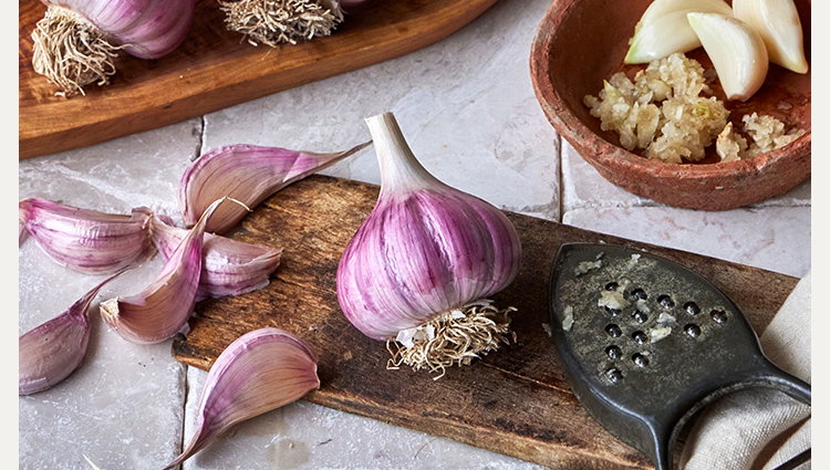 Hardneck Garlic