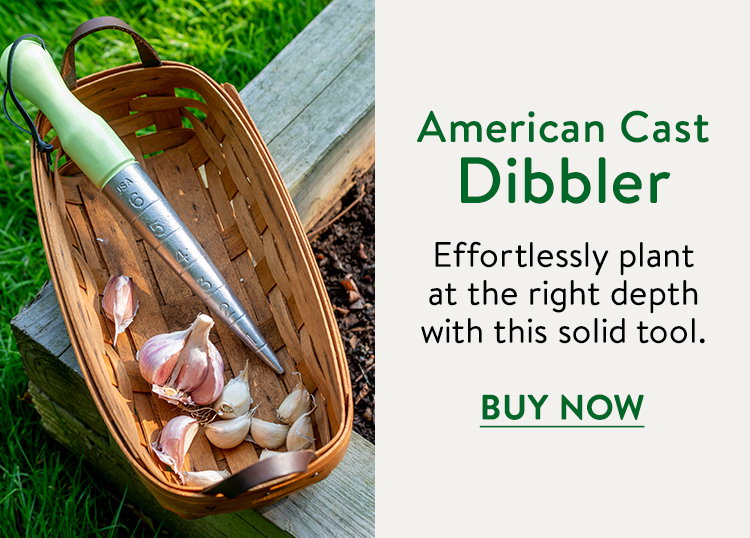 Burpee American Cast Dibbler