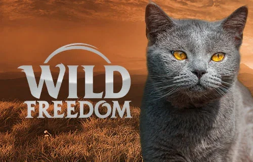 Wild Freedom