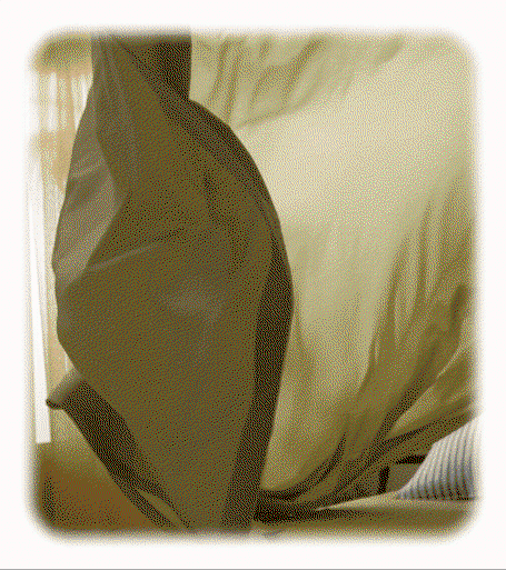 Meet our Newest Sheet