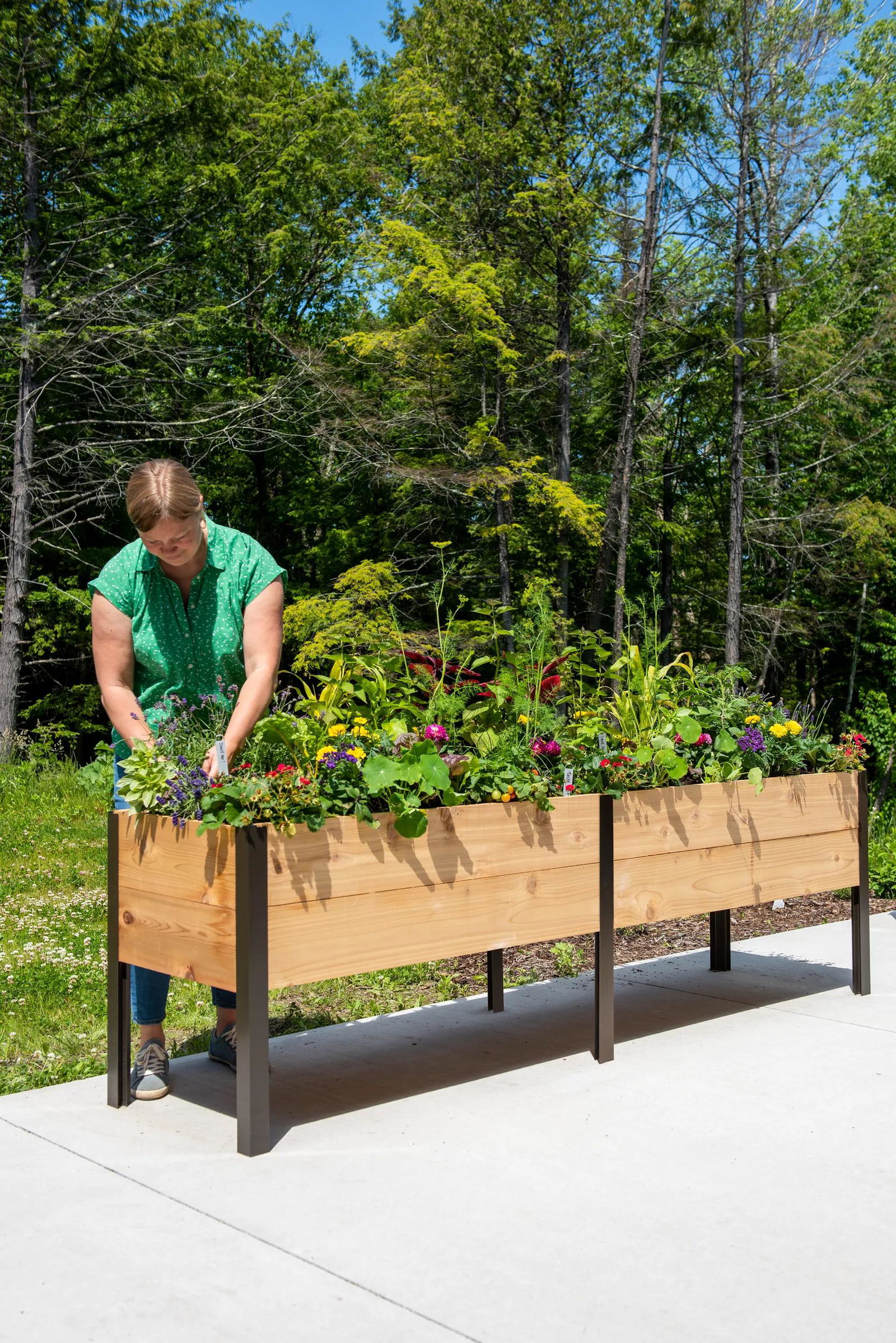 Image of Elevated Cedar Planter Box, 2' x 8'
