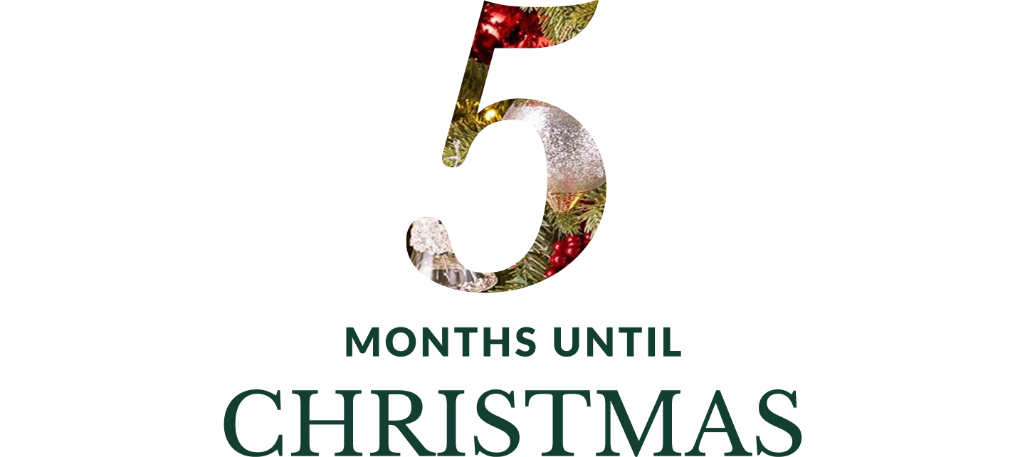 Image with text '5 Months Until Christmas' 