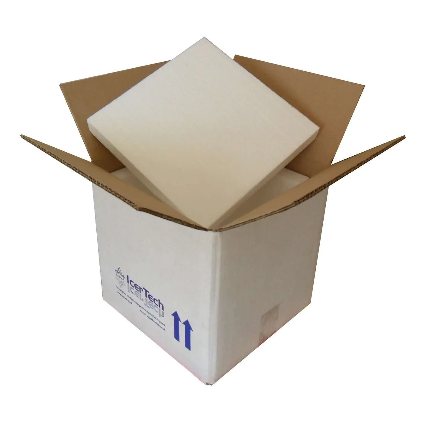 Image of Insulated Shipping Box with Ice Packs