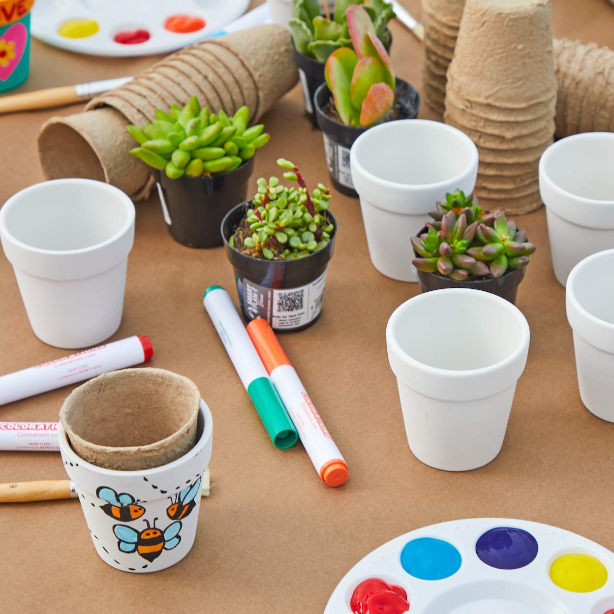 Colorations® Camp Garden Flower Pots - Makes 12 Crafts