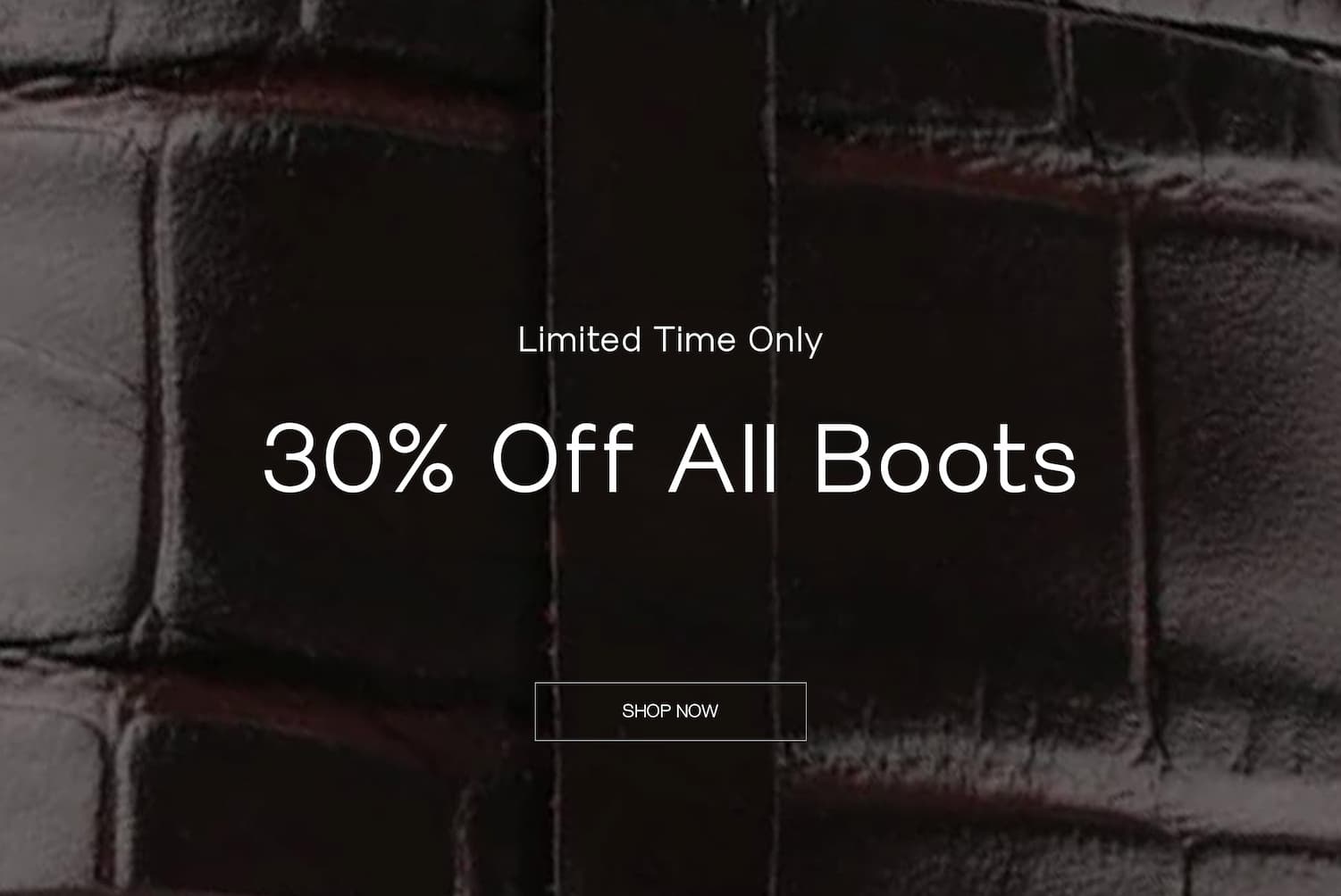 30% Off Boots