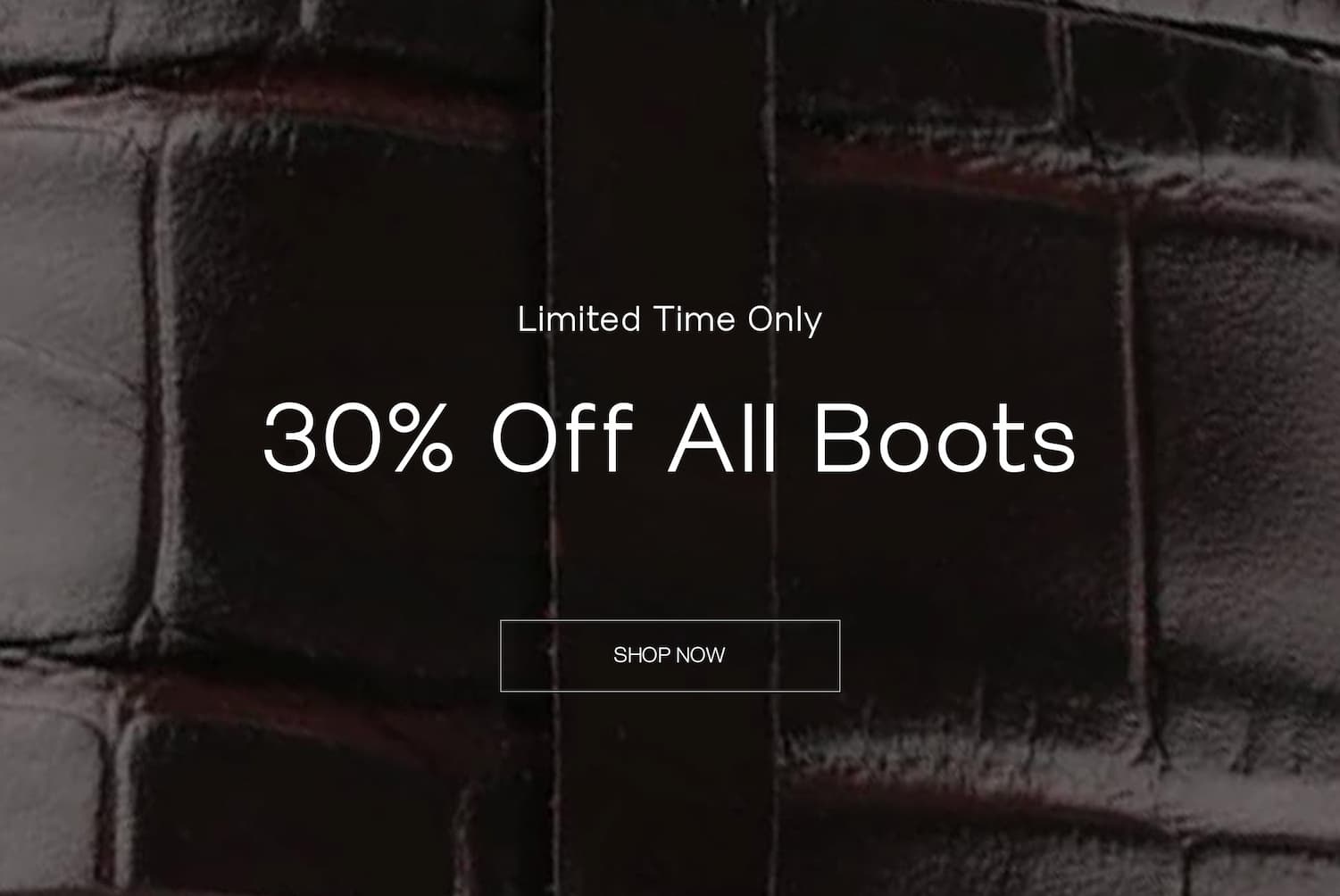 30% Off Boots