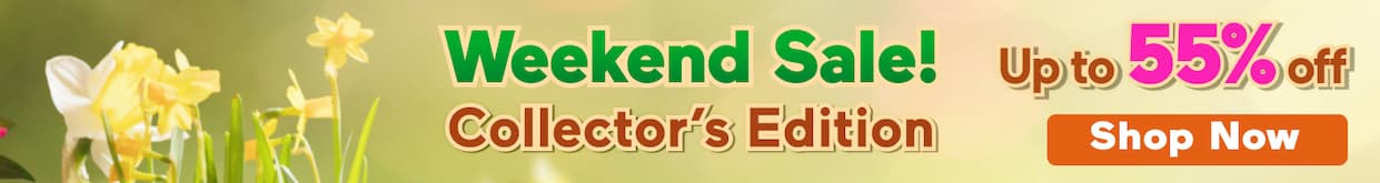 Up to 55% OFF