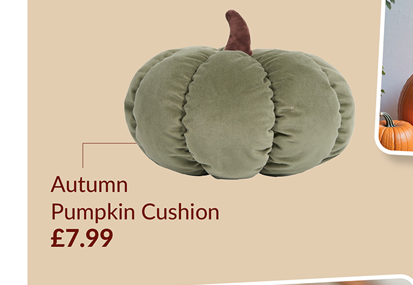 Autumn pumpkin cushion £7.99