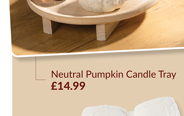 Neutral pumpkin candle tray £14.99