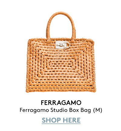 Ferragamo Studio Box Bag (M)