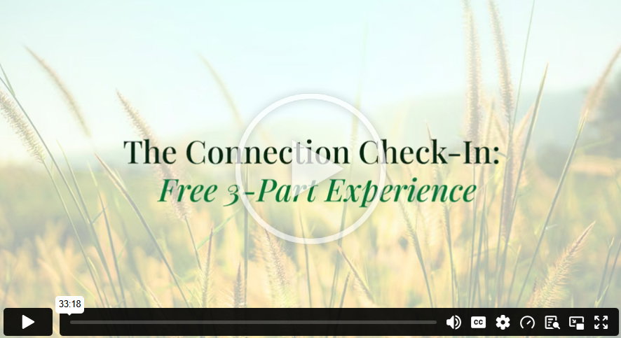 Relationship Inventory Guided Meditation