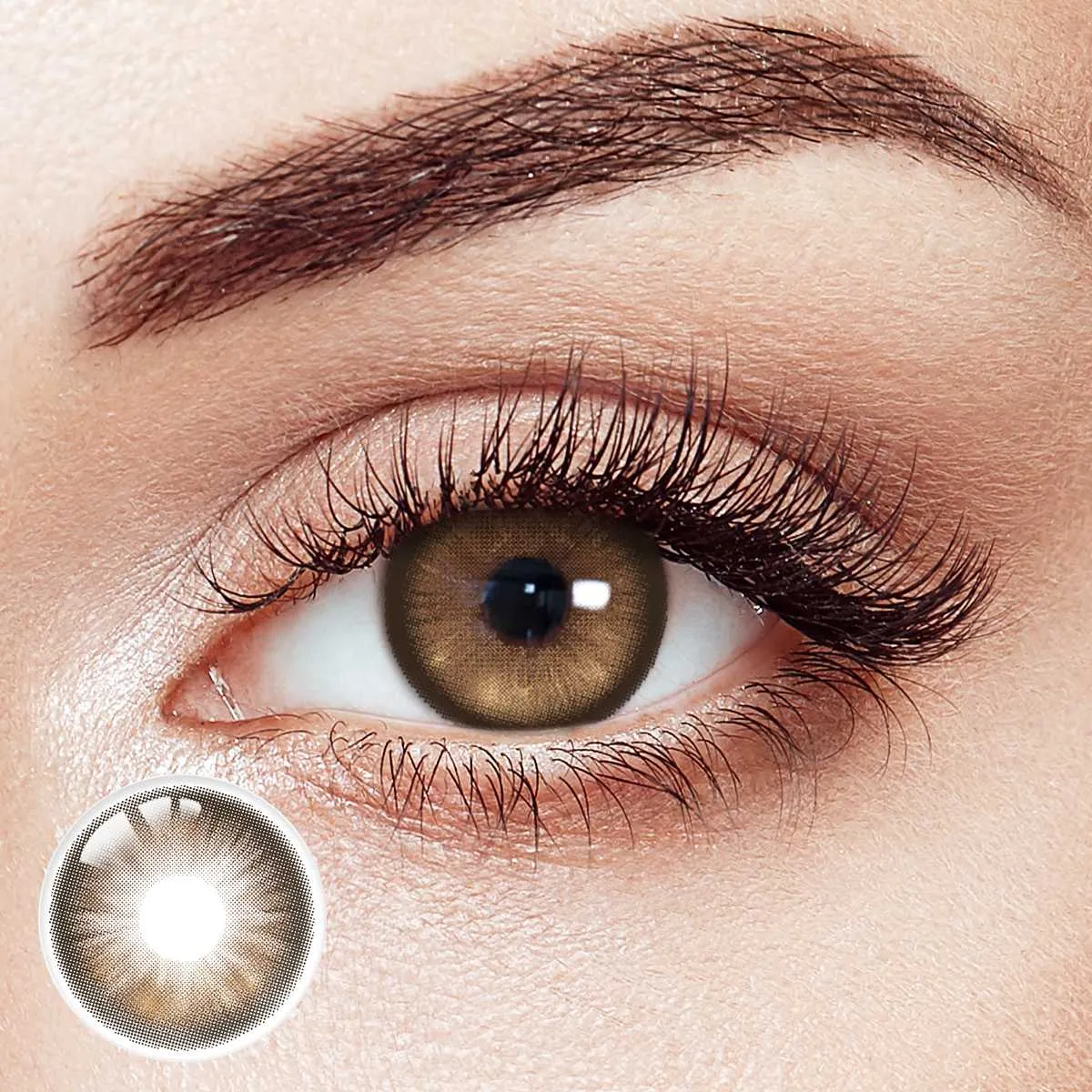 Celestial Harmony Brown 6 Month Contact Lenses | 2 Pcs