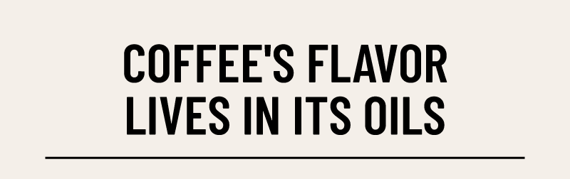 coffee's flavor lives in its oils