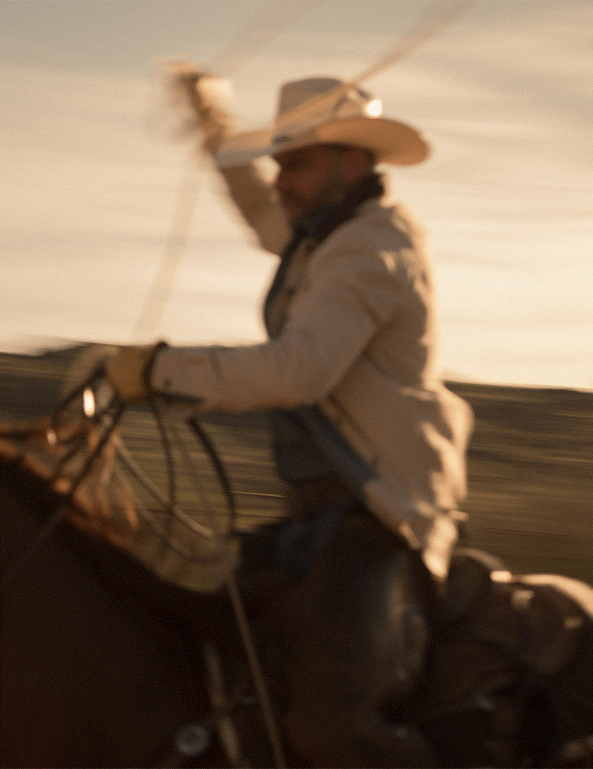 COWBOY COUNTRY