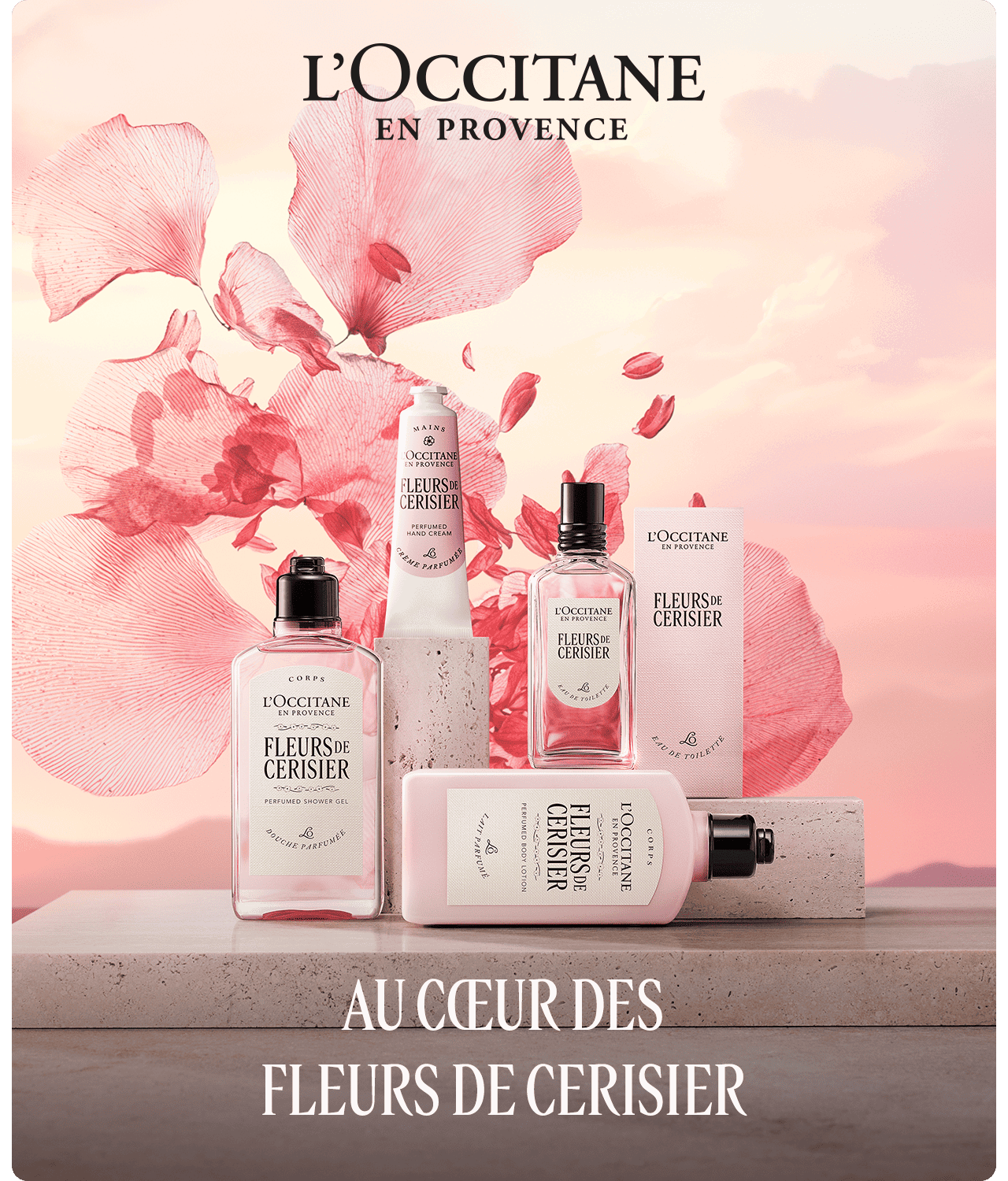 Au coeur des fleurs de cerisier
