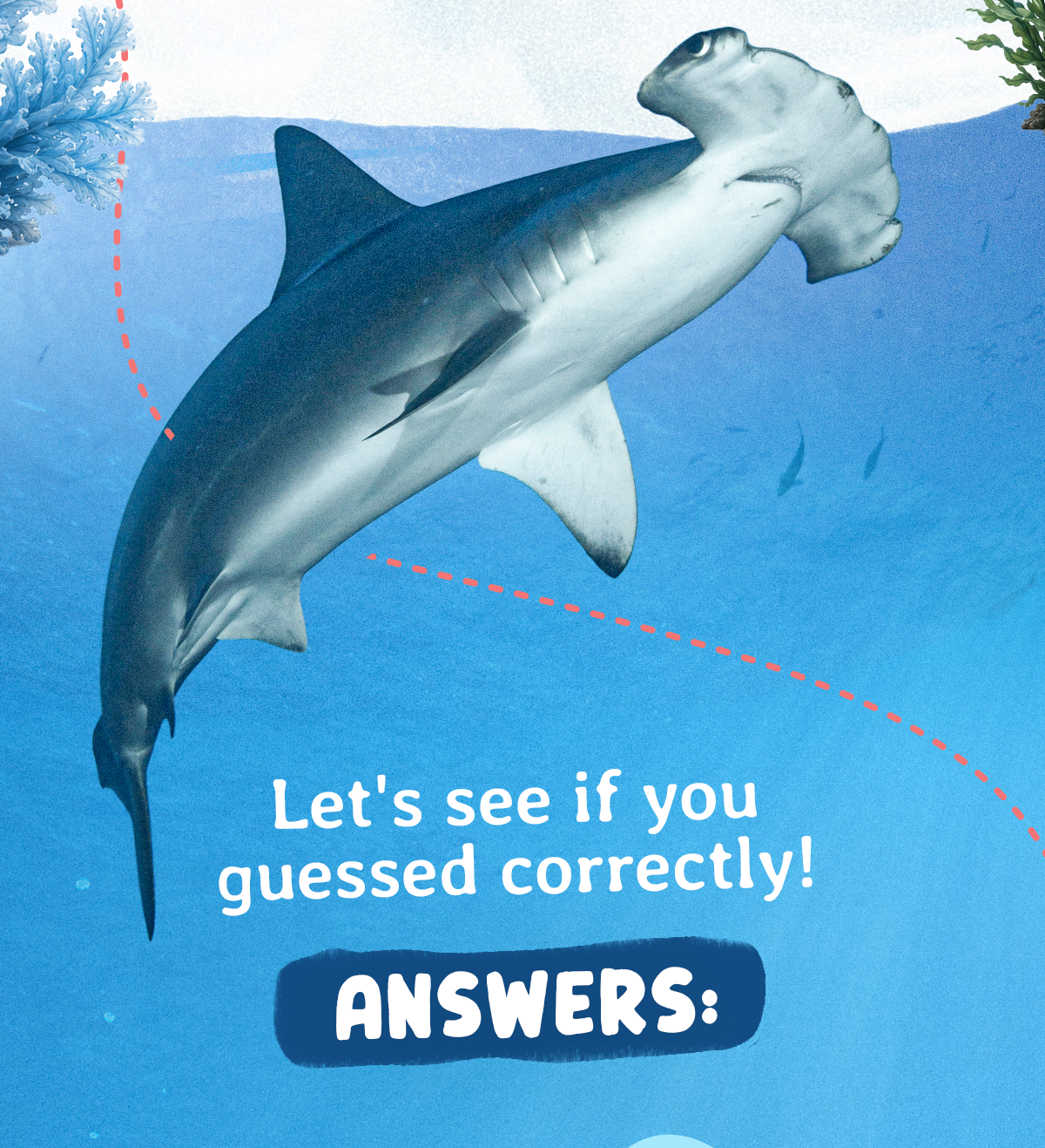 Let's see if you guessed correctly!
