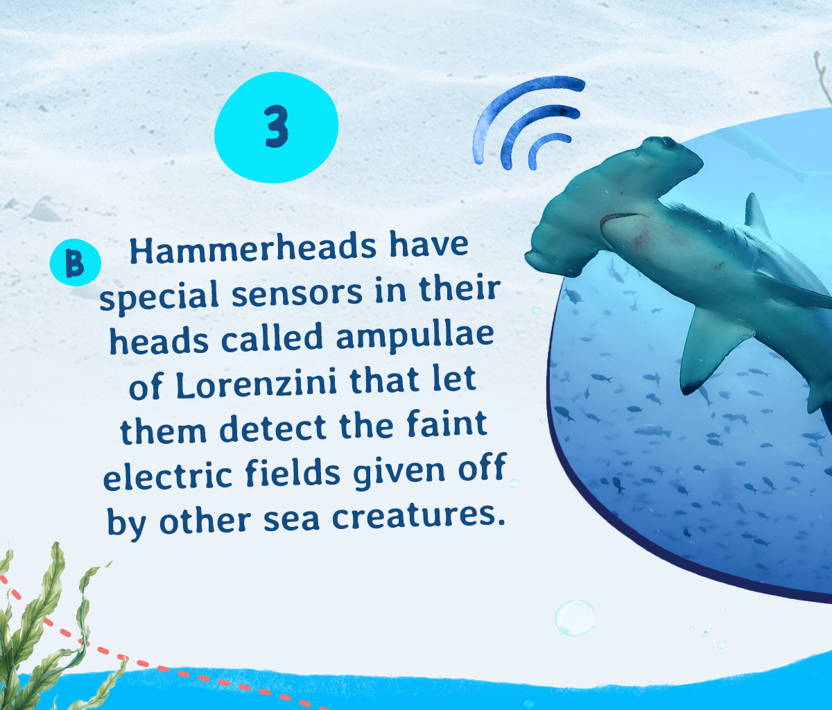 Answer B - They have special sensors in their heads