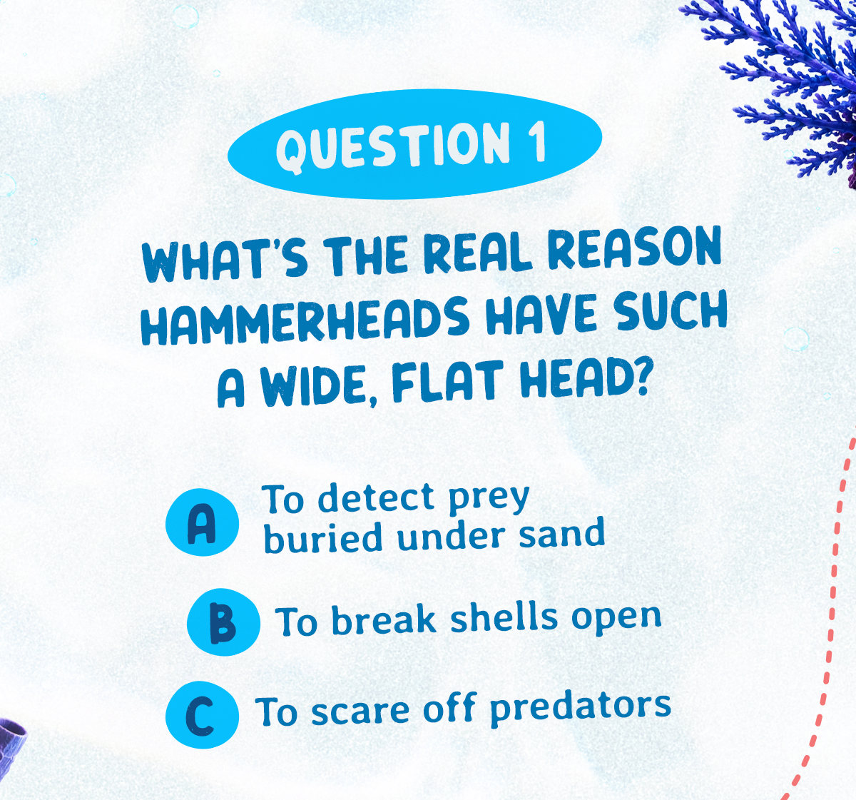 Question 1: What's the real reason hammerheads have such a wide, flat head?