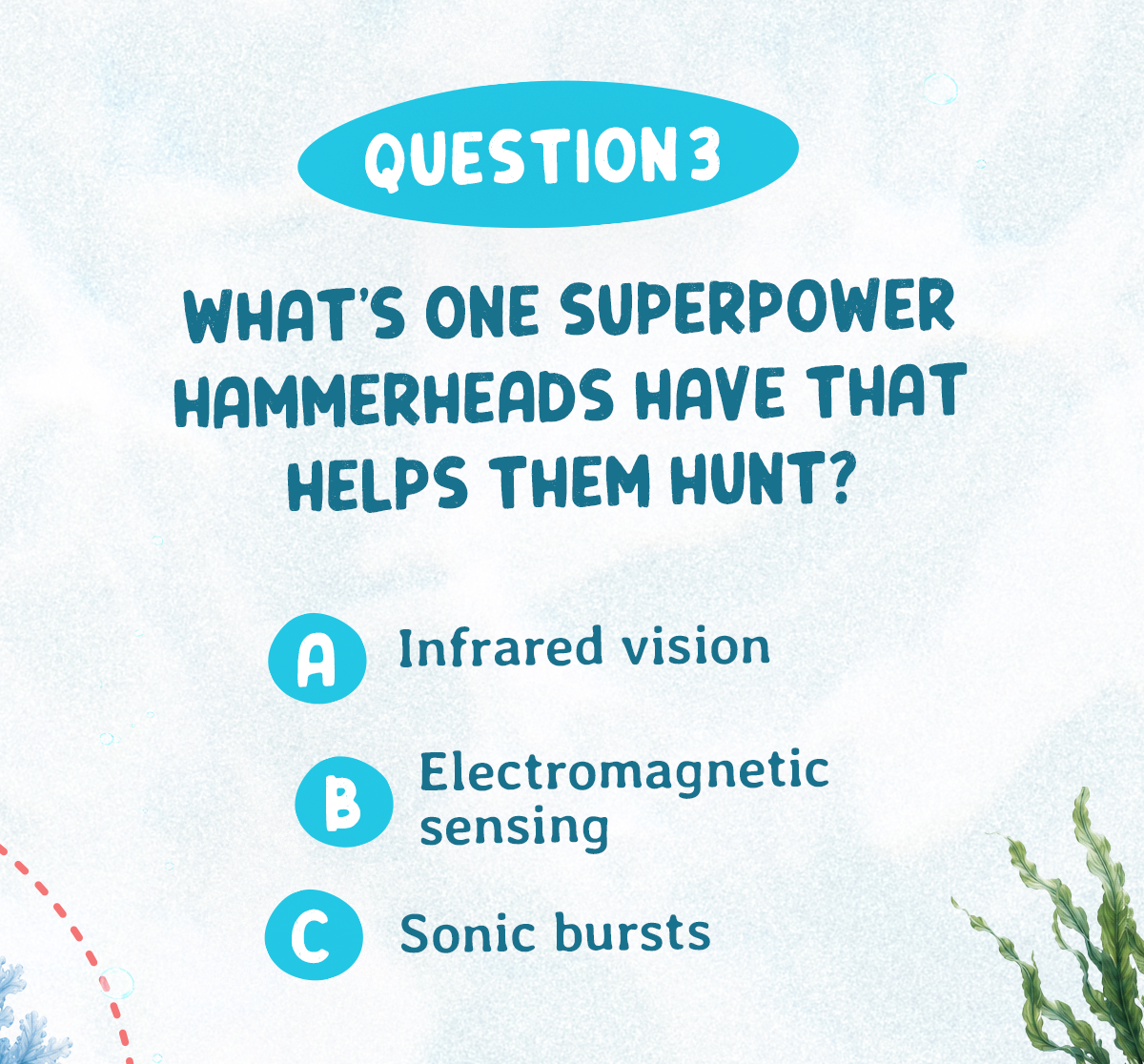 Question 3: What's one superpower hammerheads have that helps them hunt?
